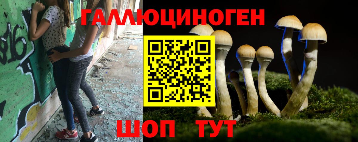 Псилоцибиновые грибы MAGIC MUSHROOMS Кинешма